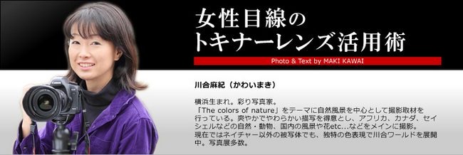 kawai_tokina.jpg